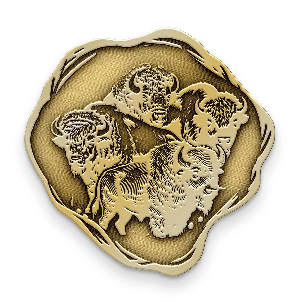 Buffalo Treasure Hunt Group Registration Coin